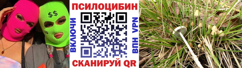 Галлюциногенные грибы мухоморы  наркотики  маркетплейс какой сайт  Билибино 